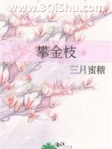 攀金枝小说