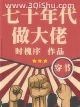 《七十年代做大佬[穿书]》全本TXT下载-作者：时槐序