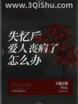 《失忆后爱人丧病了怎么办》全本TXT下载-作者：予我白鹭