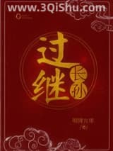 《过继长孙》全本TXT下载-作者：明照万里