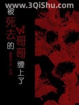 被死去的哥哥缠上了小说