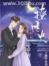 《撩过火》全本TXT下载-作者：千面怪