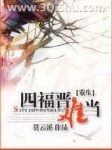 《重生之四福晋难当》全本TXT下载-作者：莫云溪