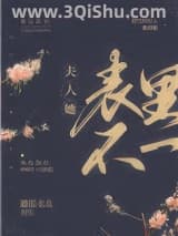 《夫人她表里不一》全本TXT下载-作者：罐装木木