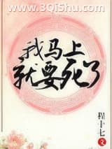 《嫁给反派以后》全本TXT下载-作者：程十七