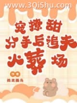 《宠！撩！甜！分手后追夫火葬场》全本TXT下载-作者：孤鸢画鸟