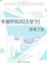 《幸福炒饭店[古穿今]》全本TXT下载-作者：苏香兰色