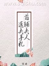 首辅夫人追夫手札小说