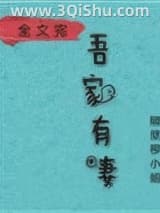 《娘子，在下有眼无珠》全本TXT下载-作者：隔壁柳小姐