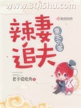 重生九零辣妻追夫小说