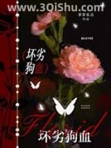《坏劣狗血[巧取豪夺]》全本TXT下载-作者：岁岁长吉