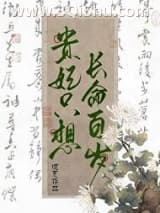 《贵妃只想长命百岁[清穿]》全本TXT下载-作者：瑰夏