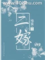 《二嫁》全本TXT下载-作者：喵蓝