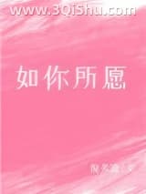 如你所愿小说