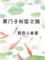 《寒门子权臣之路》全本TXT下载-作者：爱凤小鱼