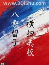 八零留子，横扫美高小说