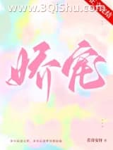 娇宠小说