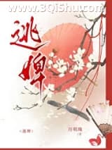 《逃婢》全本TXT下载-作者：月明珠