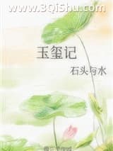 《玉玺记》全本TXT下载-作者：石头与水