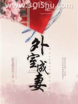 《外室成妻》全本TXT下载-作者：屋里的星星