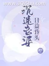 《沉迷老婆，日益昏头》全本TXT下载-作者：梨昭