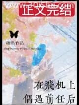 《在飞机上偶遇前任后》全本TXT下载-作者：穗雪