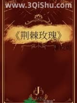 《荆棘玫瑰》全本TXT下载-作者：没有羊毛