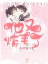 《他又炸毛了》全本TXT下载-作者：轩家沐言
