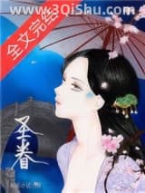 圣眷（重生）小说