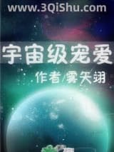 宇宙级宠爱小说