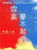 你高攀不起小说