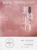 《惹婚上门》全本TXT下载-作者：临渊鱼儿