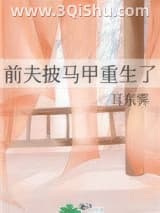 《前夫披马甲重生了》全本TXT下载-作者：耳东霁
