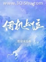 伺机上位小说