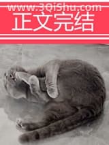 《穿成动物后，被叼住了后颈！》全本TXT下载-作者：岁岁有幸