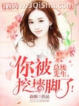 《傅先生，你被挖墙脚了！》全本TXT下载-作者：焱熙
