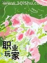 《职业玩家》全本TXT下载-作者：轻黯