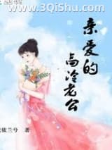 《亲爱的高冷老公》全本TXT下载-作者：依依兰兮