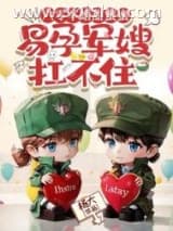 《六零军婚甜蜜蜜，易孕军嫂扛不住》全本TXT下载-作者：杨大