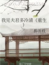 《我见夫君多冷清（重生）》全本TXT下载-作者：醉折枝