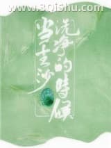 《当尘沙洗净的时候[赌石]》全本TXT下载-作者：甲虫花花