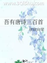 《吾有唐诗三百首》全本TXT下载-作者：欣欣向荣