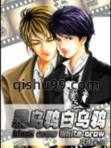 《黑乌鸦白乌鸦》全本TXT下载-作者：耳雅