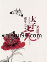 重生之太子党图片