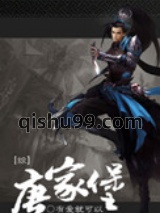 （综武侠同人）唐家堡图片