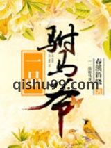 一品驸马爷图片