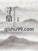 《寻鼎》全本TXT下载-作者：朱砂