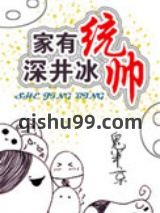 《家有统帅，深井冰》全本TXT下载-作者：鬼半京
