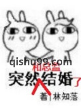 突然和总监结婚了图片