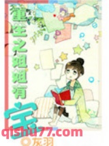 《重生之姐姐有宝》全本TXT下载-作者：灰羽